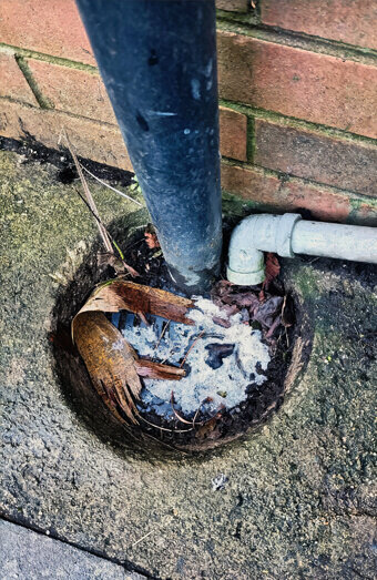 https://plumbereastvictoriapark.com.au/uploads/2025/06/blocked-drains-294506.jpg