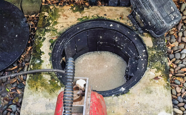 https://plumbereastvictoriapark.com.au/uploads/2025/06/blocked-drains-820453.jpg